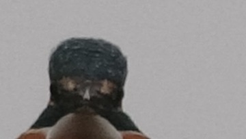 1093885
