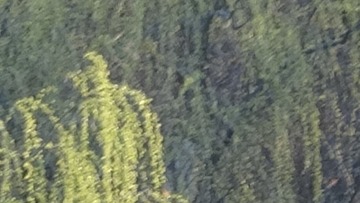 1075583