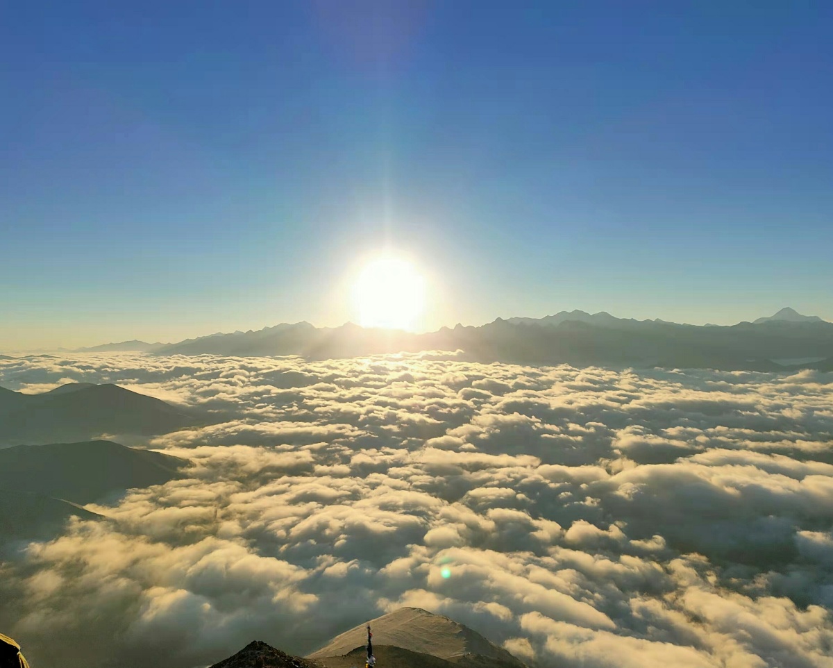 早上太阳☀ - 风铃草伤心欲碎 - 图虫