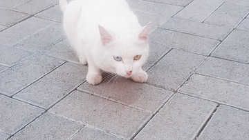 6759