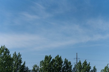 243428