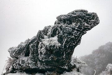 Canon-EOS-5D-Mark-II705