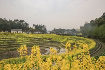 XIAO4268