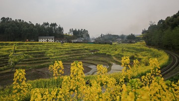 XIAO4273