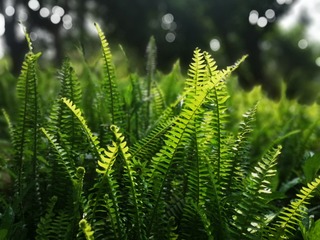 302