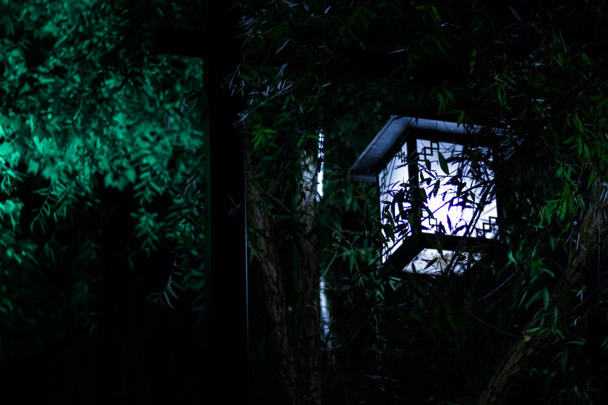 夜晚竹林图片素材,夜晚竹林图片,t图片素材简约图片_大山谷图库
