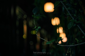 2047354