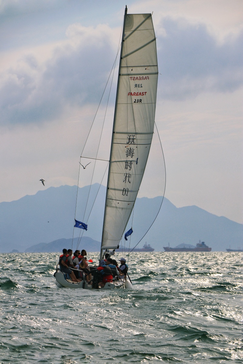 扬帆远航 - 黑马-摄影 - 图虫