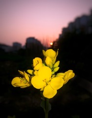 150387