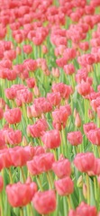 EA6283D3-A750-417A-9F61-ED5BD48FD4C2/L0/001