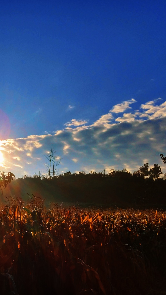 美好的早晨 - 林子lz一 - 图虫