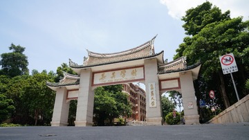 2010