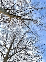 62F29AC0-0F07-471D-B177-AECCE8585FB8/L0/001