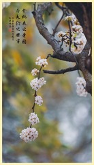 1CA12F07-8288-480F-8A45-84D68C5680E8/L0/001