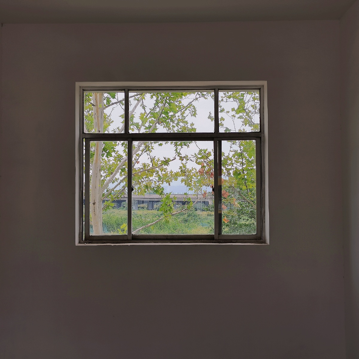 学校窗户 - 摄影师160047811216452 - 图虫