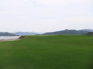 黄山卧虎1