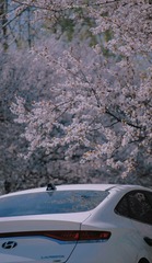 1FE119CD-BE24-4C9A-BFA4-4CF3869652B7/L0/001
