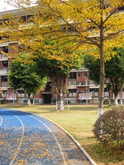 B699E557-E59C-4B1F-AD55-832B64BA930C/L0/001