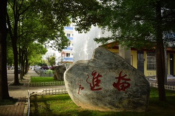 DSC_3503-1的