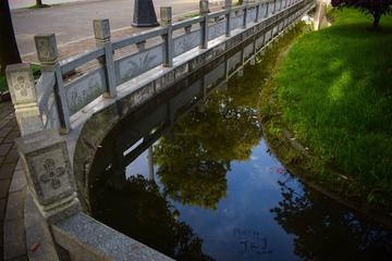 DSC_3518-1的