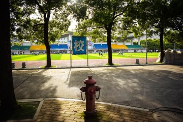 DSC_3521-1