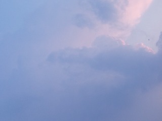 1000003196