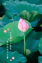 A050BCDC-3B79-428B-957B-66A4407C6513/L0/001