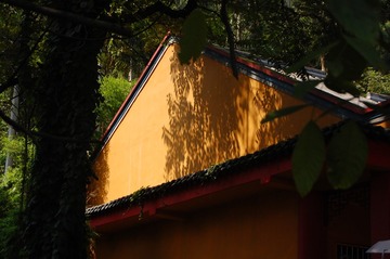 64F32091-7F19-48A2-A6C8-D4C3A90CC321/L0/001