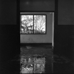 scan0003