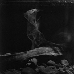 scan0004x