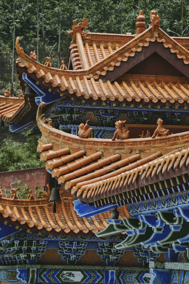 游少林寺感受宗教文化聆听寺庙禅音