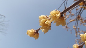 2B7FEF13-94E9-494F-B5D5-9B4077AE5857/L0/001
