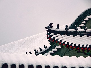 118876