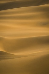 1000046136