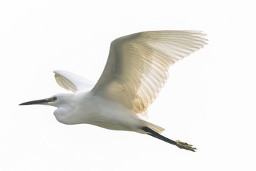 2641