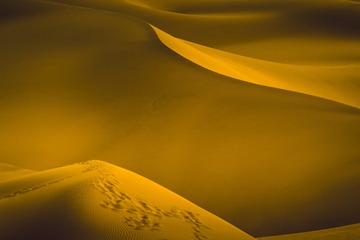 1000046134