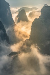 1000032736