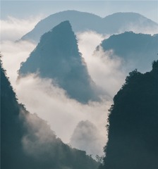 1000032735