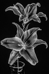 0083