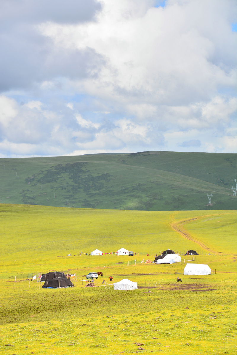 四川省甘孜州草原牧民帐篷牦牛毛帐篷