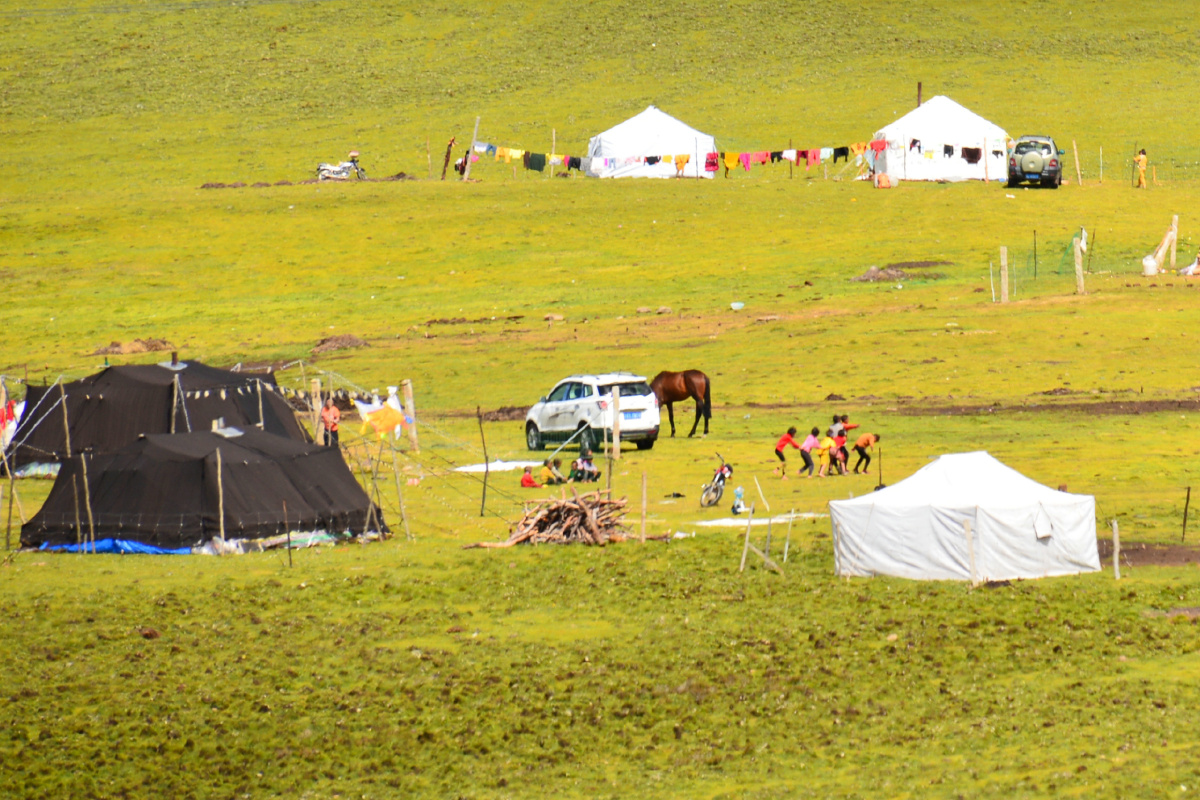 四川省甘孜州草原牧民帐篷牦牛毛帐篷