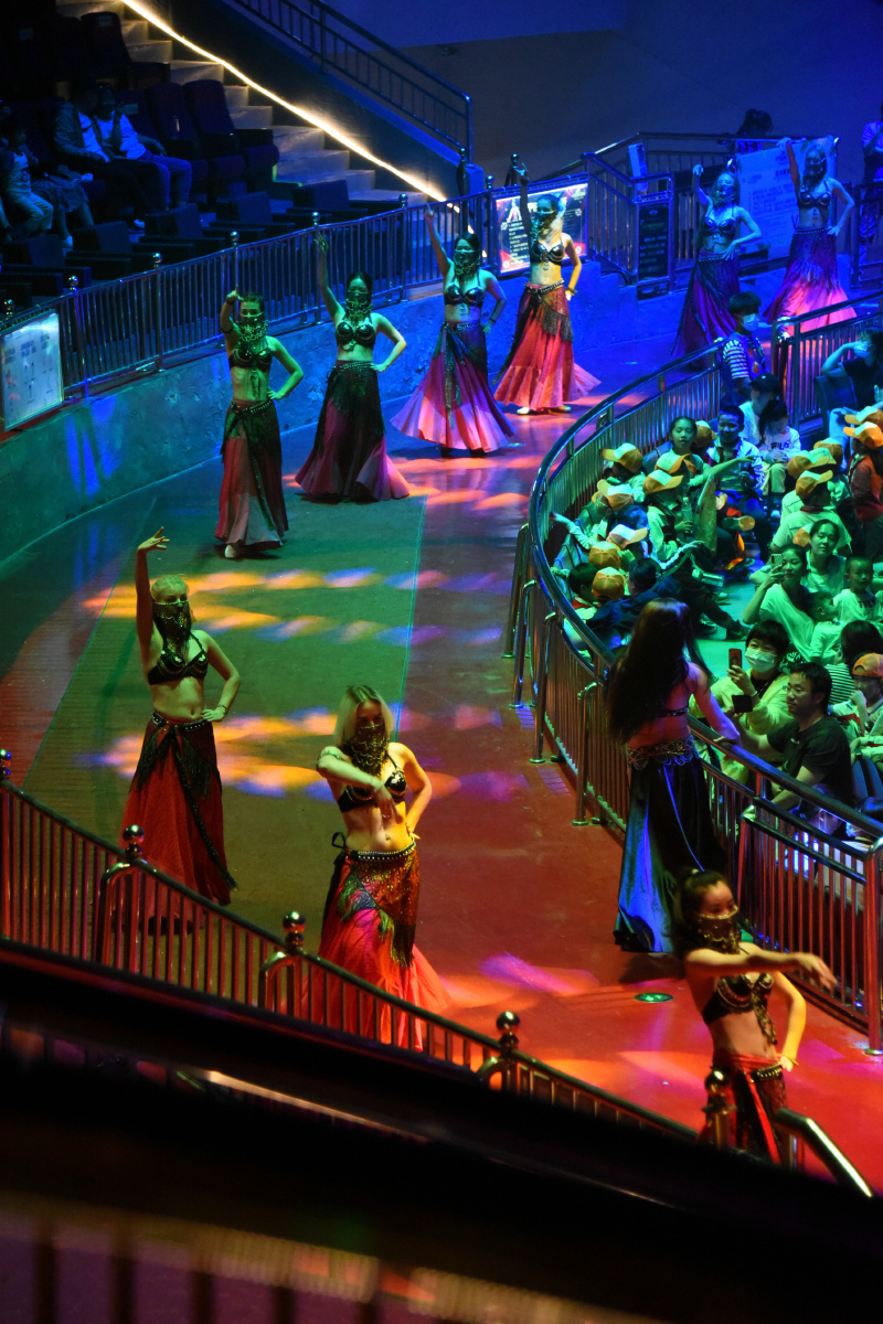 福建省厦门市灵玲马戏美女