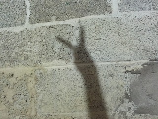 1163029