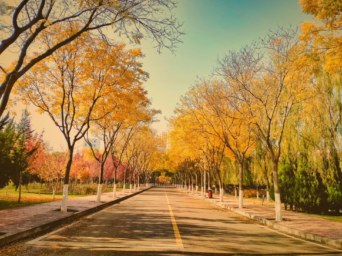 校园的景色永远是青春的记忆