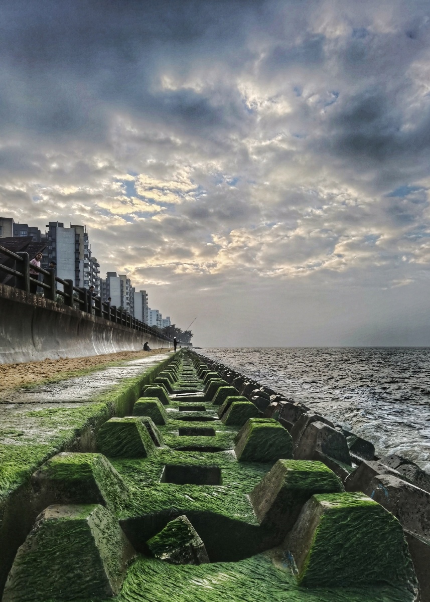 长满苔藓的防浪堤有了几分的沧桑感