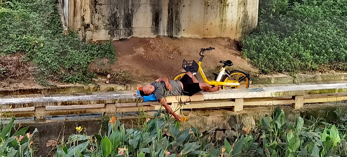 桥底睡觉的汉子