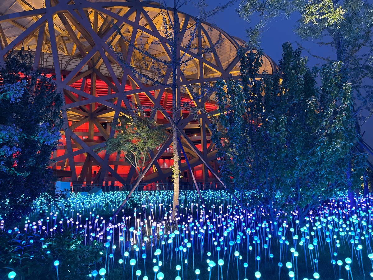 北京鸟巢灯光亮点特色暑假期间鸟巢在草坪新置景观灯