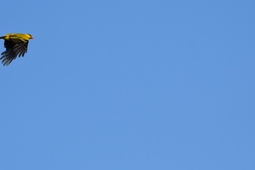 1000071892