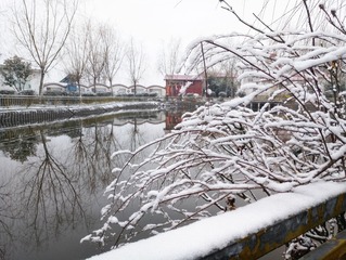 2003