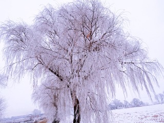 AF8E012A-C14A-470D-B667-6276B0CE2E20/L0/001
